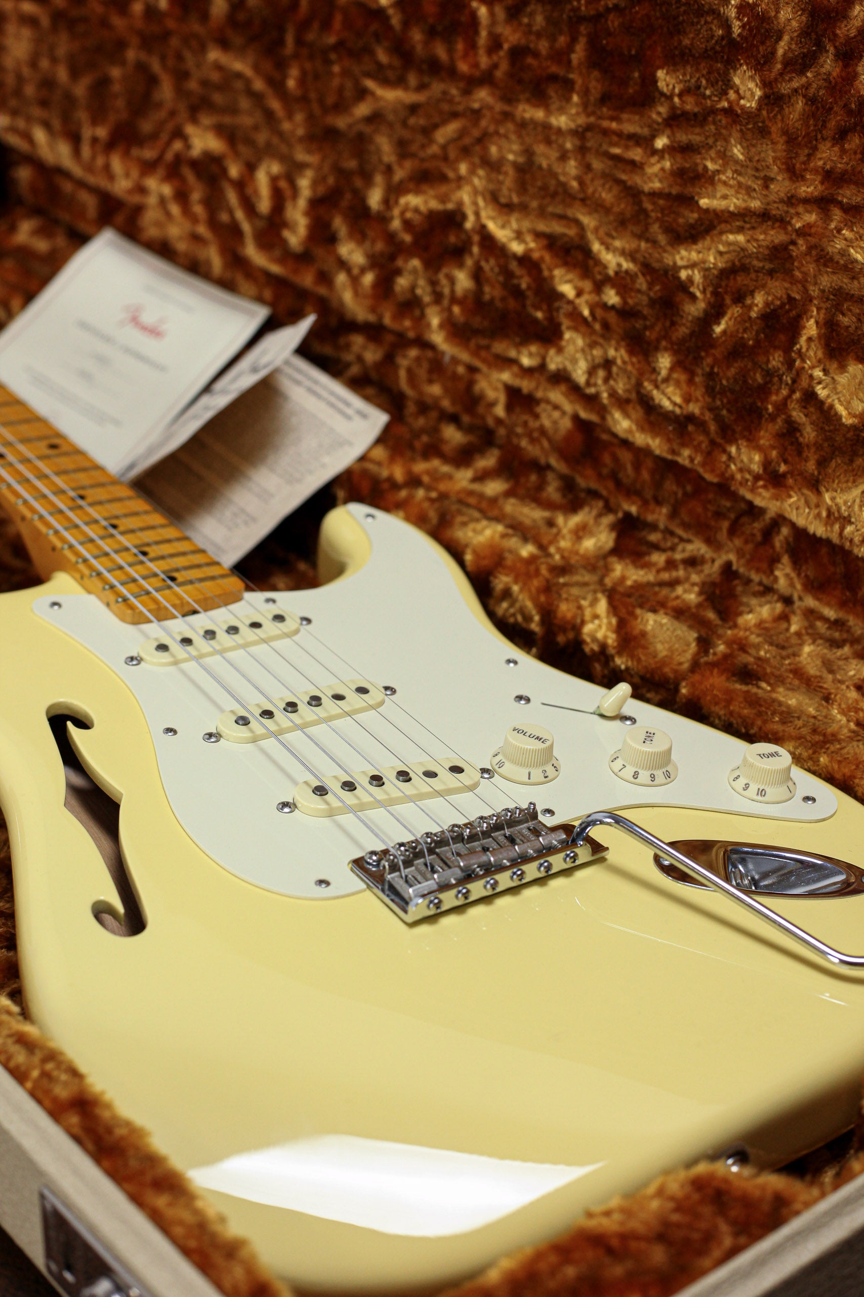 Fender Eric Johnson Thinline Stratocaster MN | Blonde