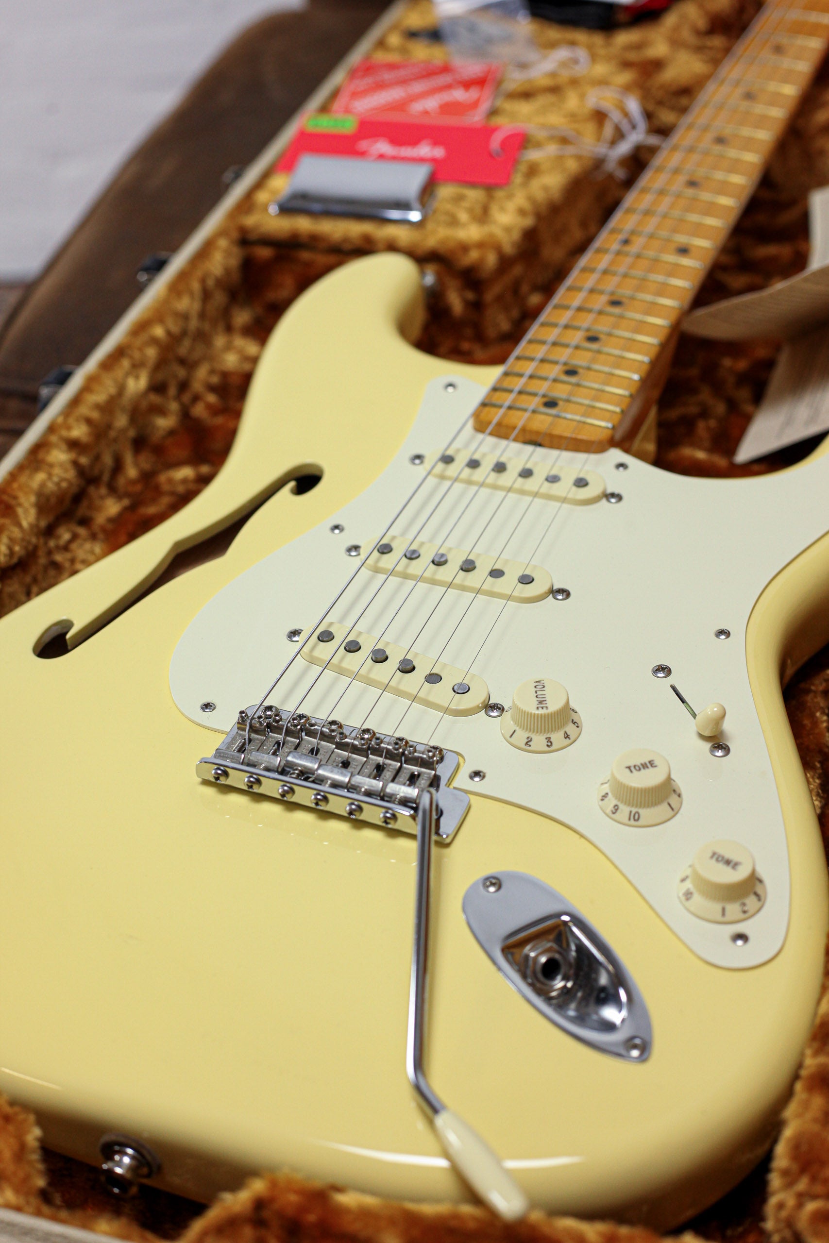 Fender Eric Johnson Thinline Stratocaster MN | Blonde