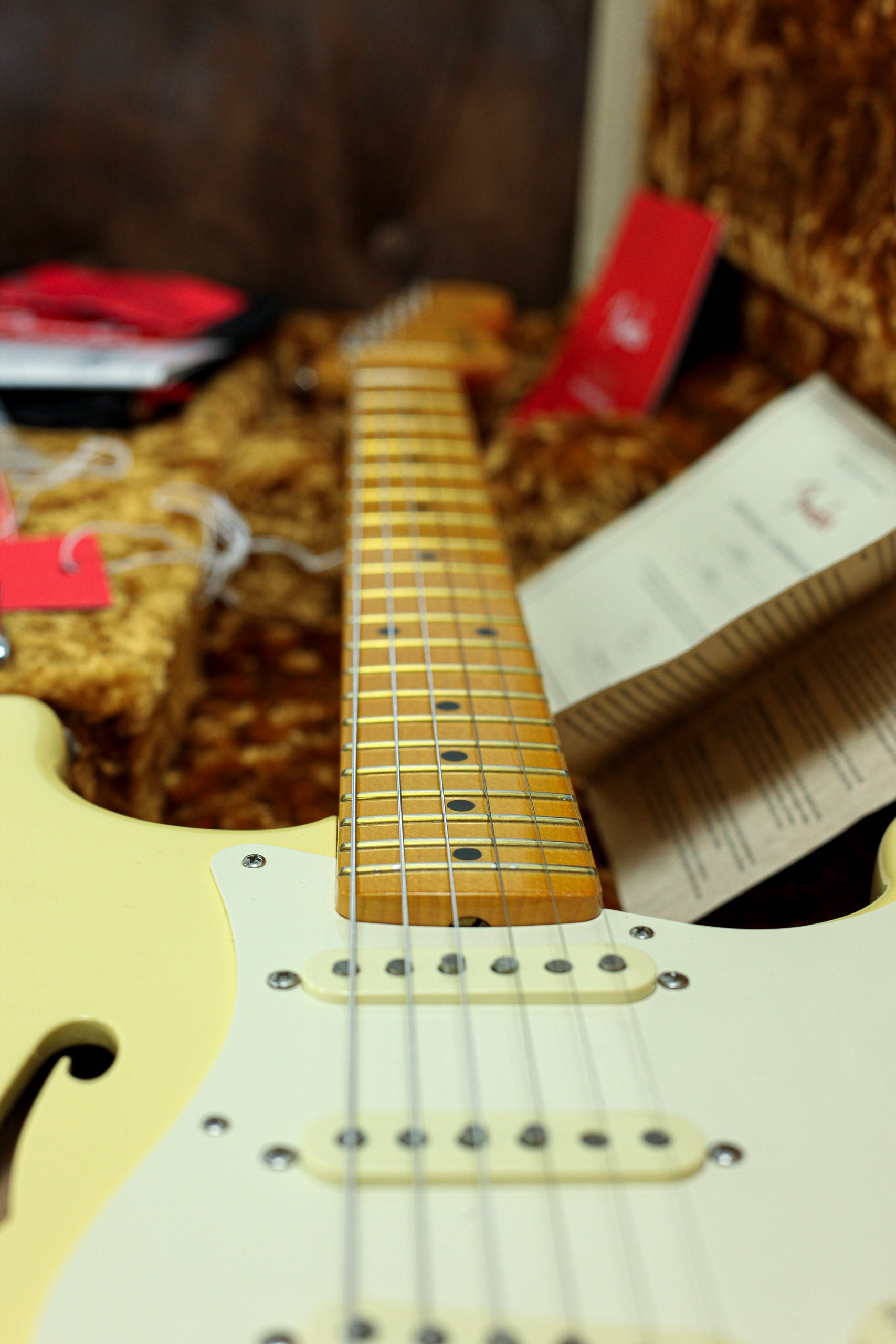 Fender Eric Johnson Thinline Stratocaster MN | Blonde