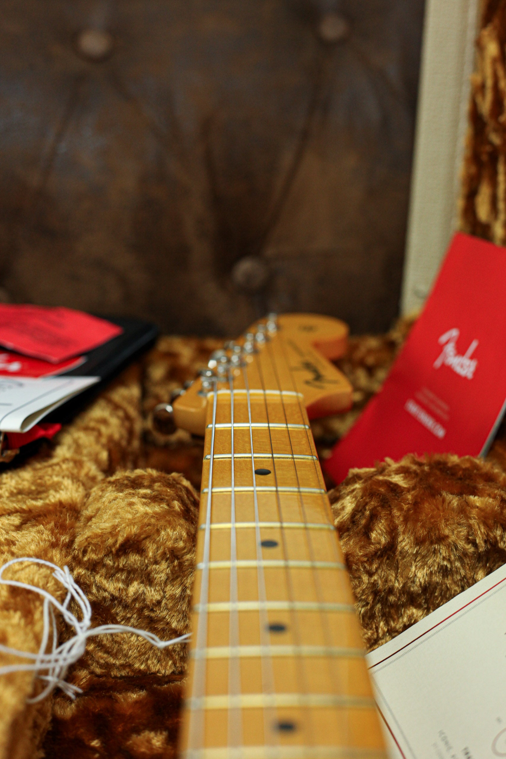 Fender Eric Johnson Thinline Stratocaster MN | Blonde