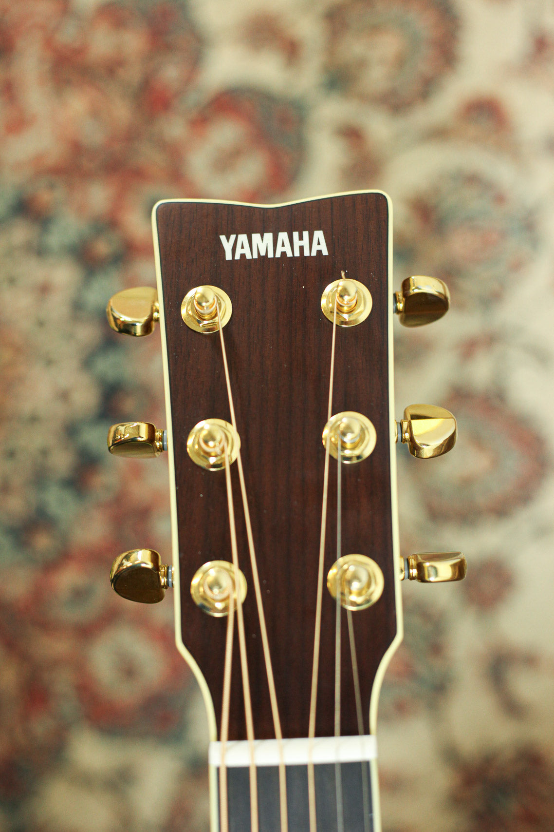 Yamaha LS16 All-Solid 2020 | Natural