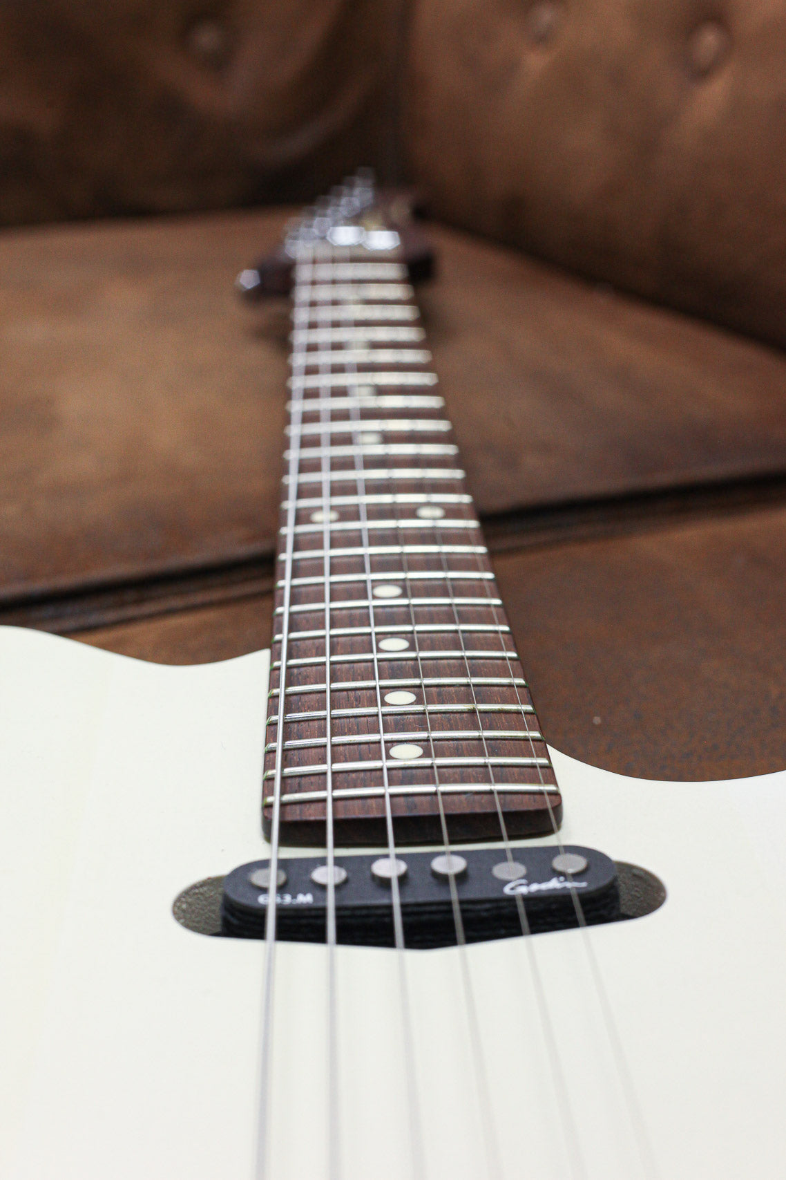 Godin Stadium Hardtail Rosewood | Trans White