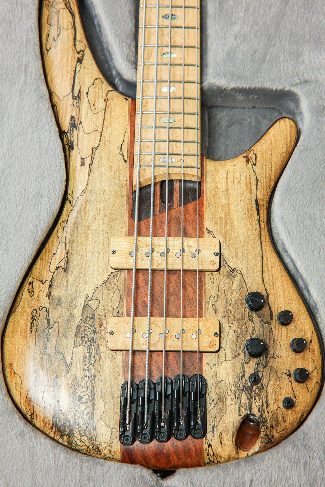 Ibanez SR5SMTD Limited Edition 2016 | Spalted Maple