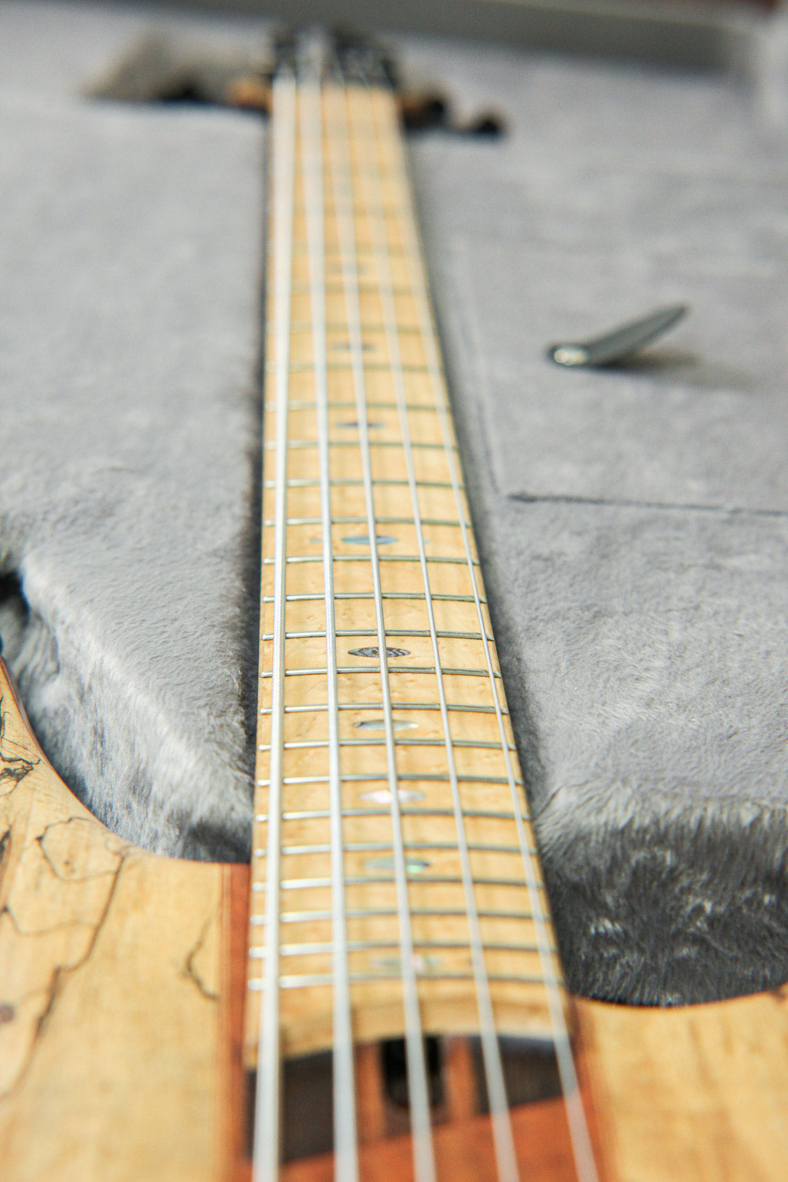 Ibanez SR5SMTD Limited Edition 2016 | Spalted Maple