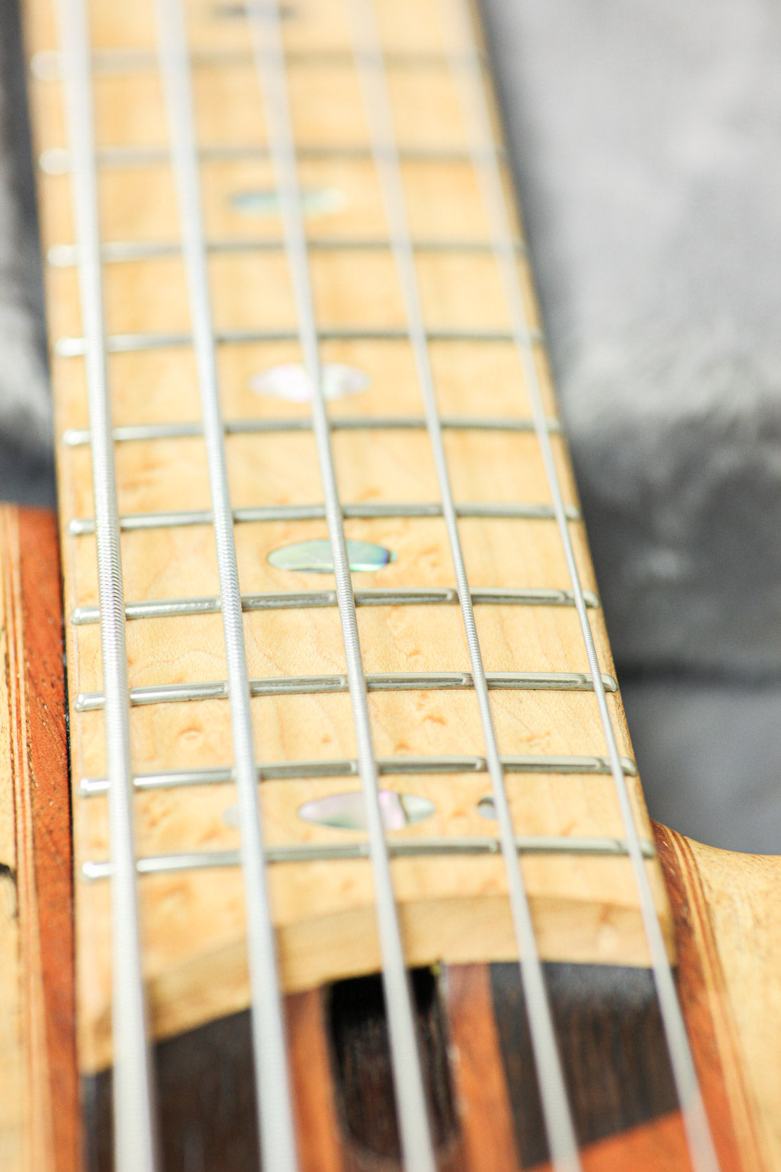 Ibanez SR5SMTD Limited Edition 2016 | Spalted Maple