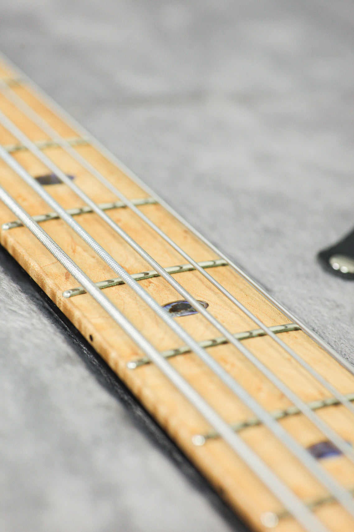 Ibanez SR5SMTD Limited Edition 2016 | Spalted Maple