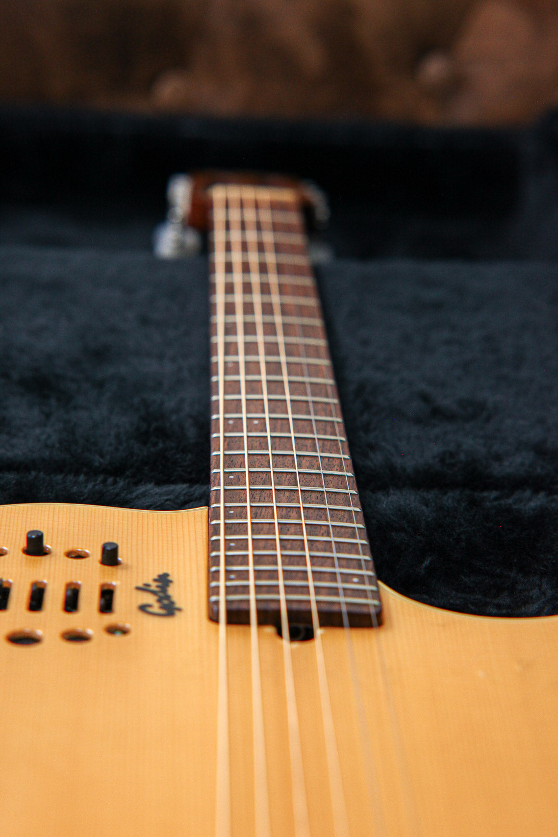 Godin Multiac Steel Duet Ambiance | Natural