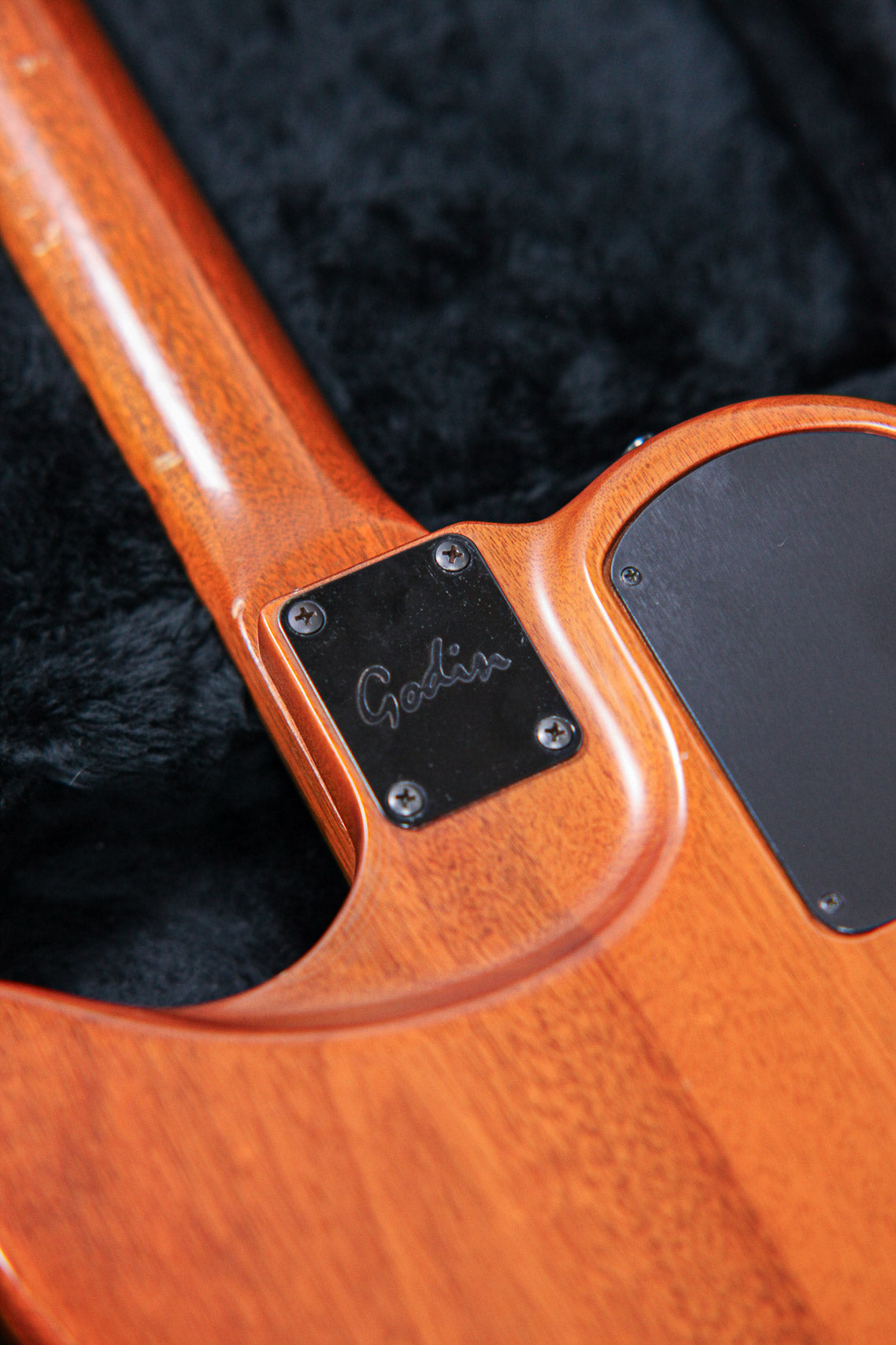 Godin Multiac Steel Duet Ambiance | Natural