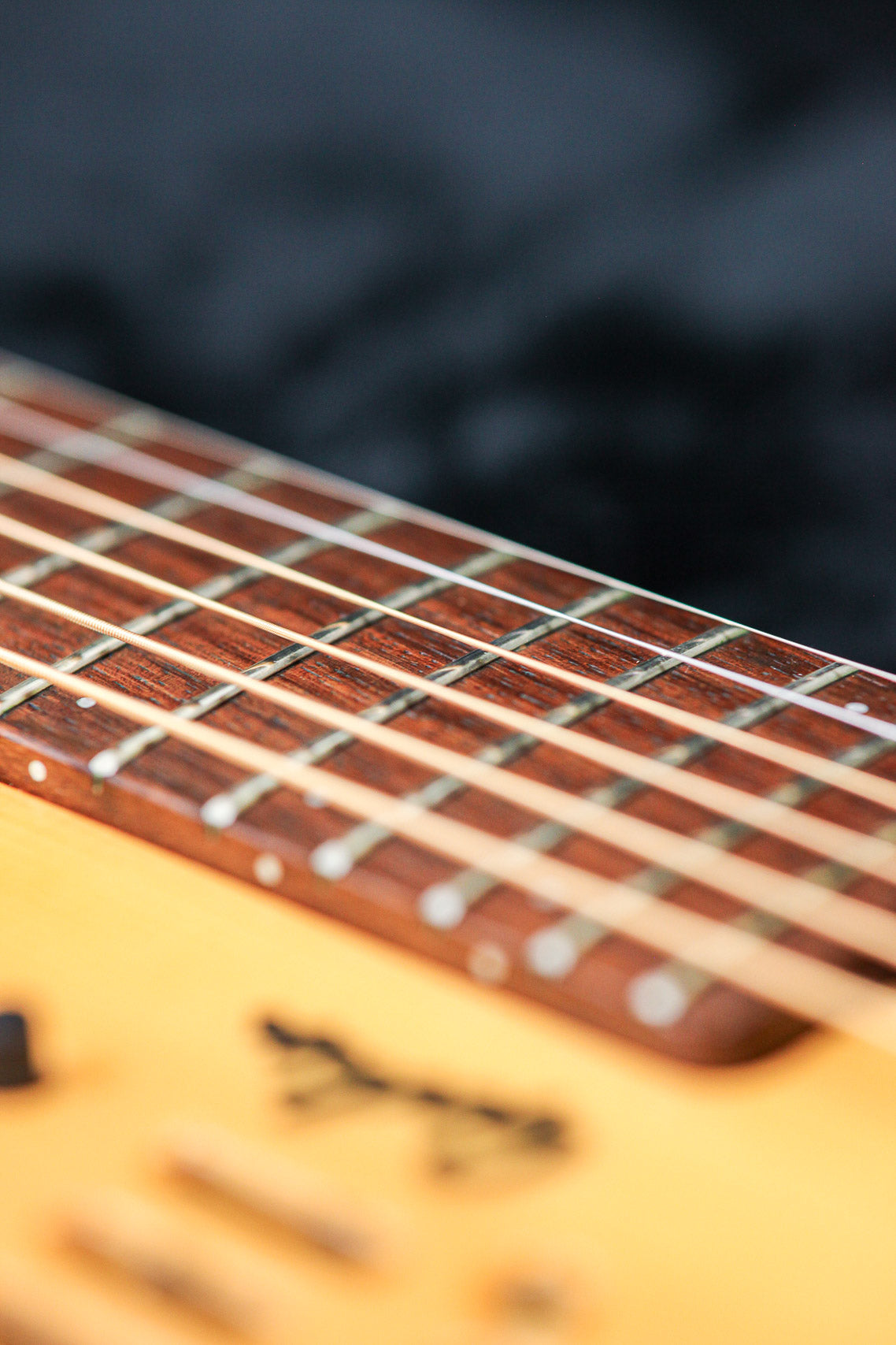 Godin Multiac Steel Duet Ambiance | Natural