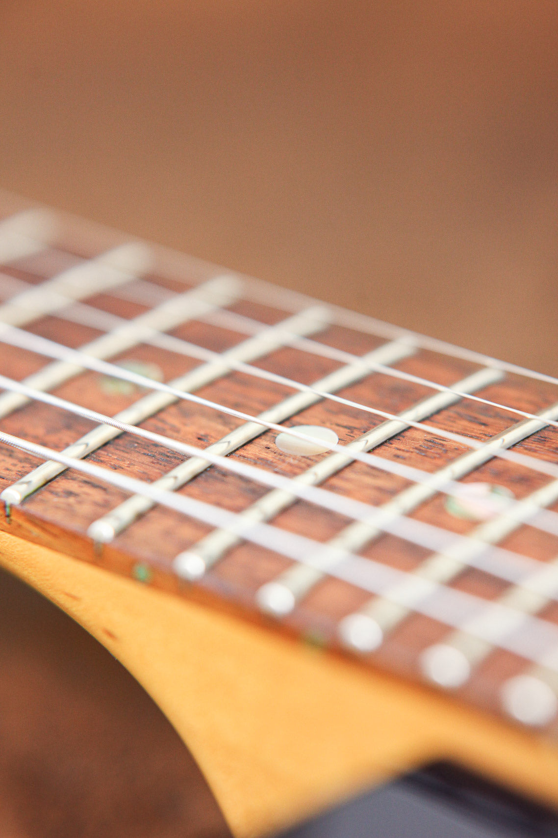 PRS CE 24 | Black Cherry