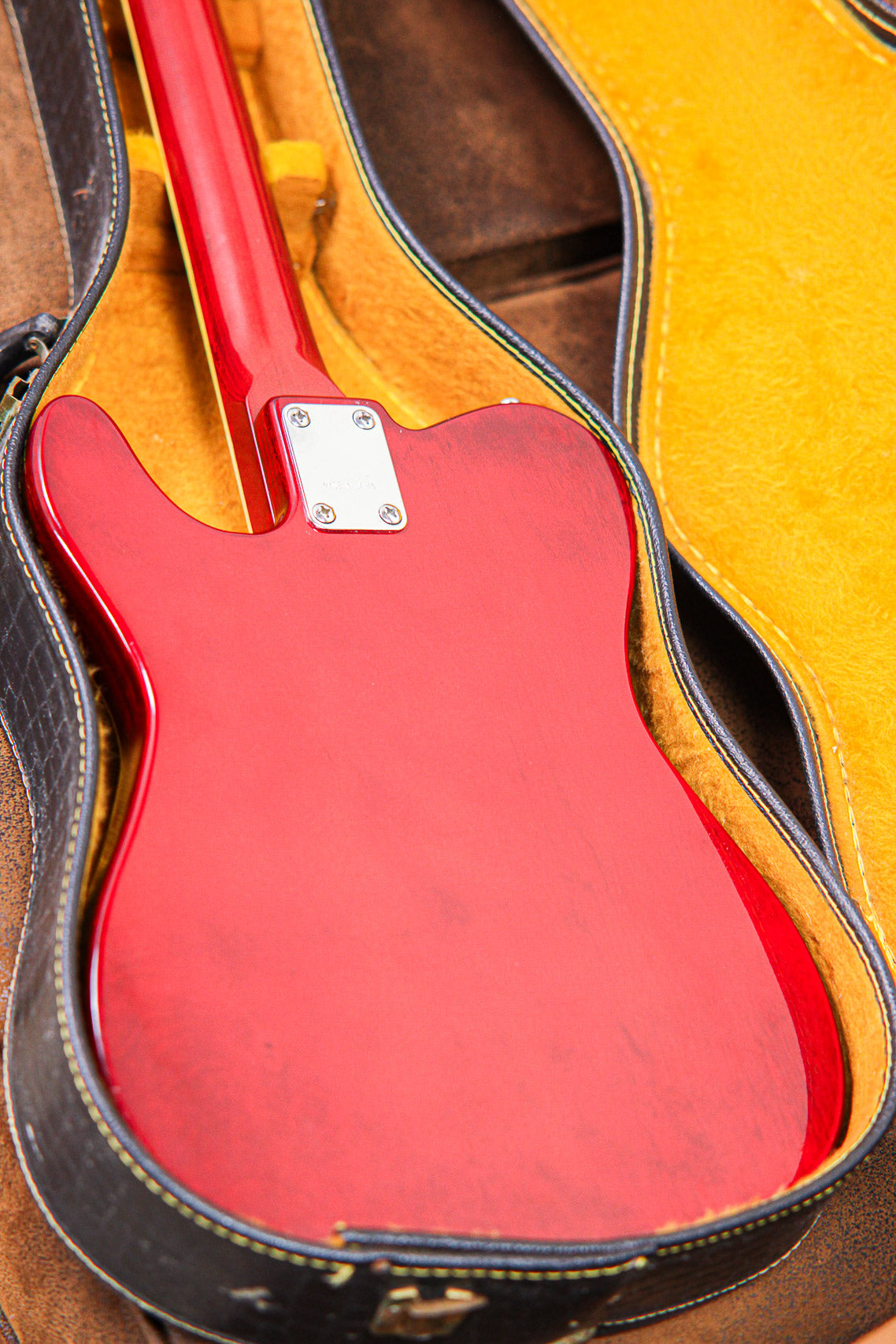 Ampeg Heavy Stud GEH 150 | Burgundy