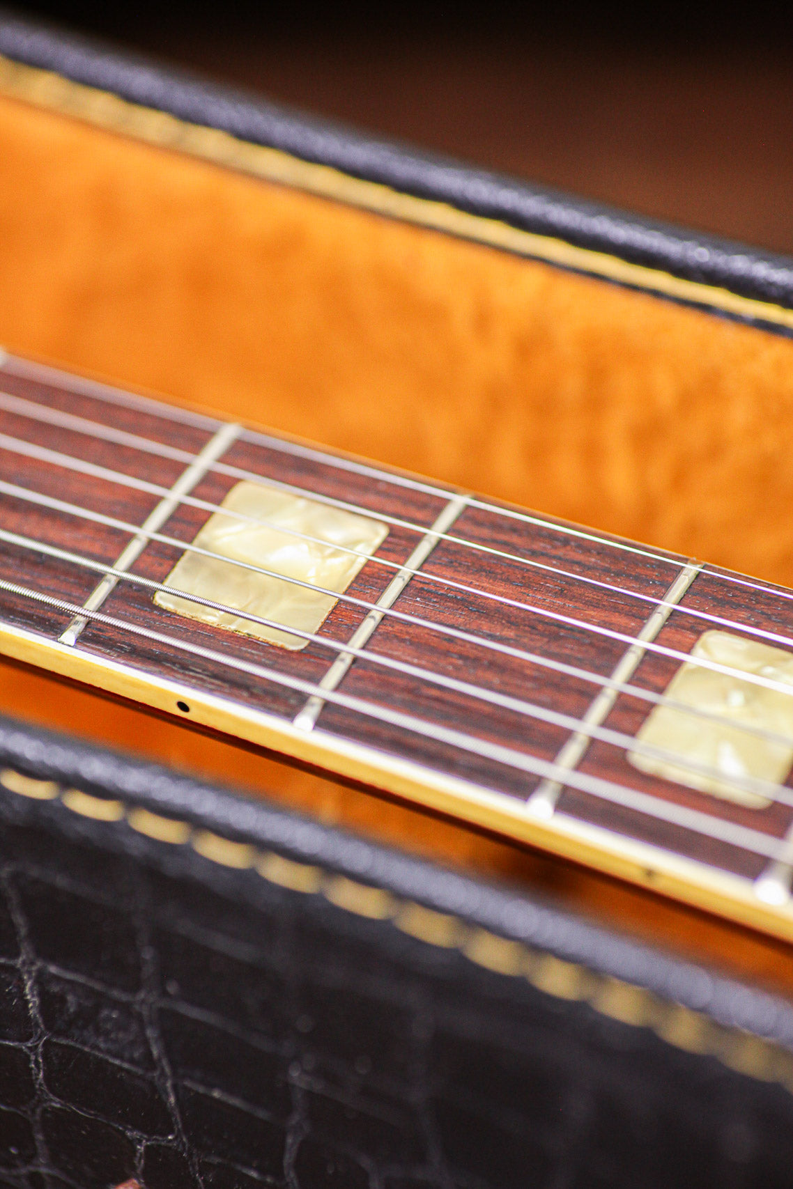 Ampeg Heavy Stud GEH 150 | Burgundy