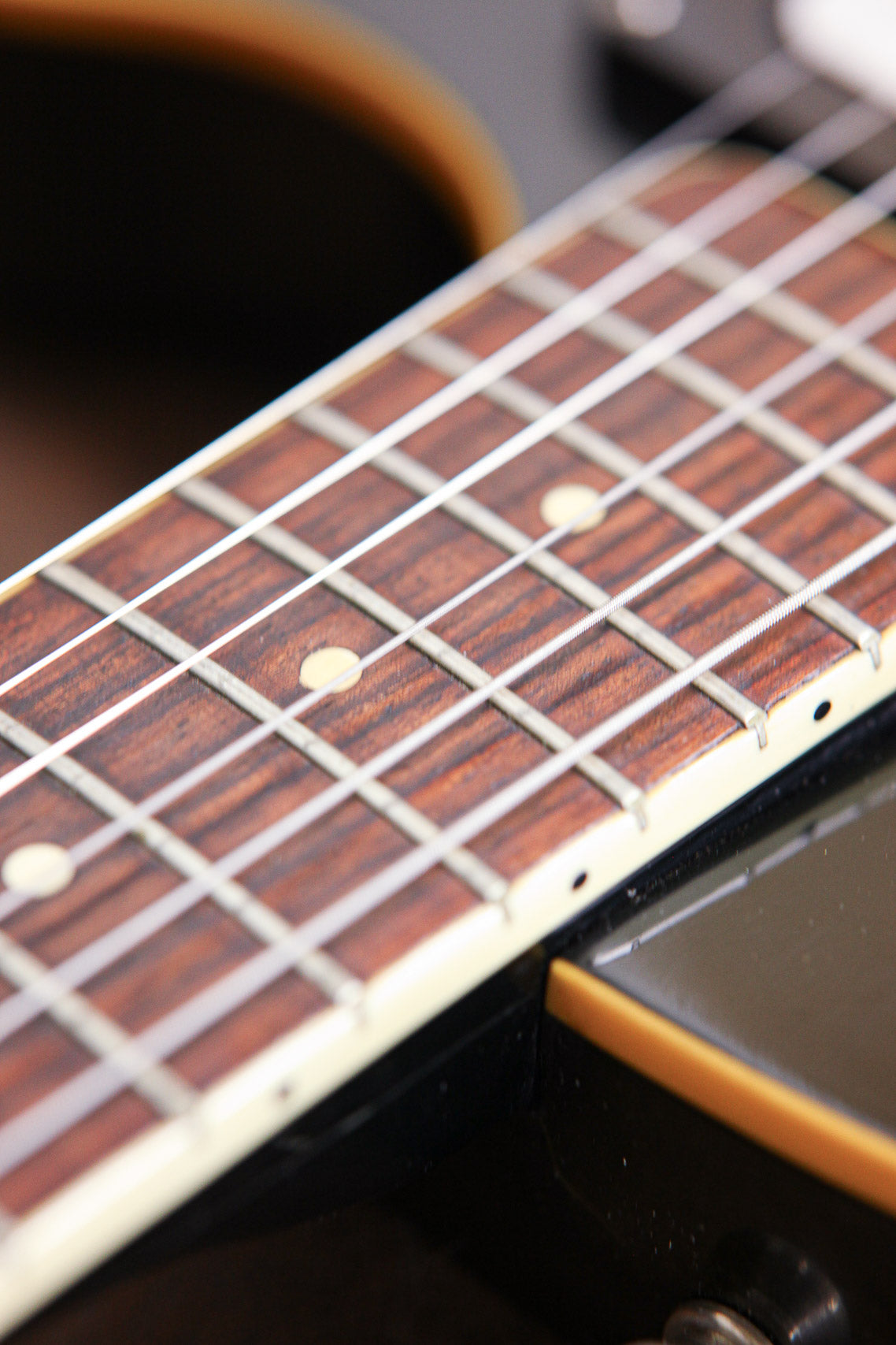 Eko Kiwi 1973 | High Gloss