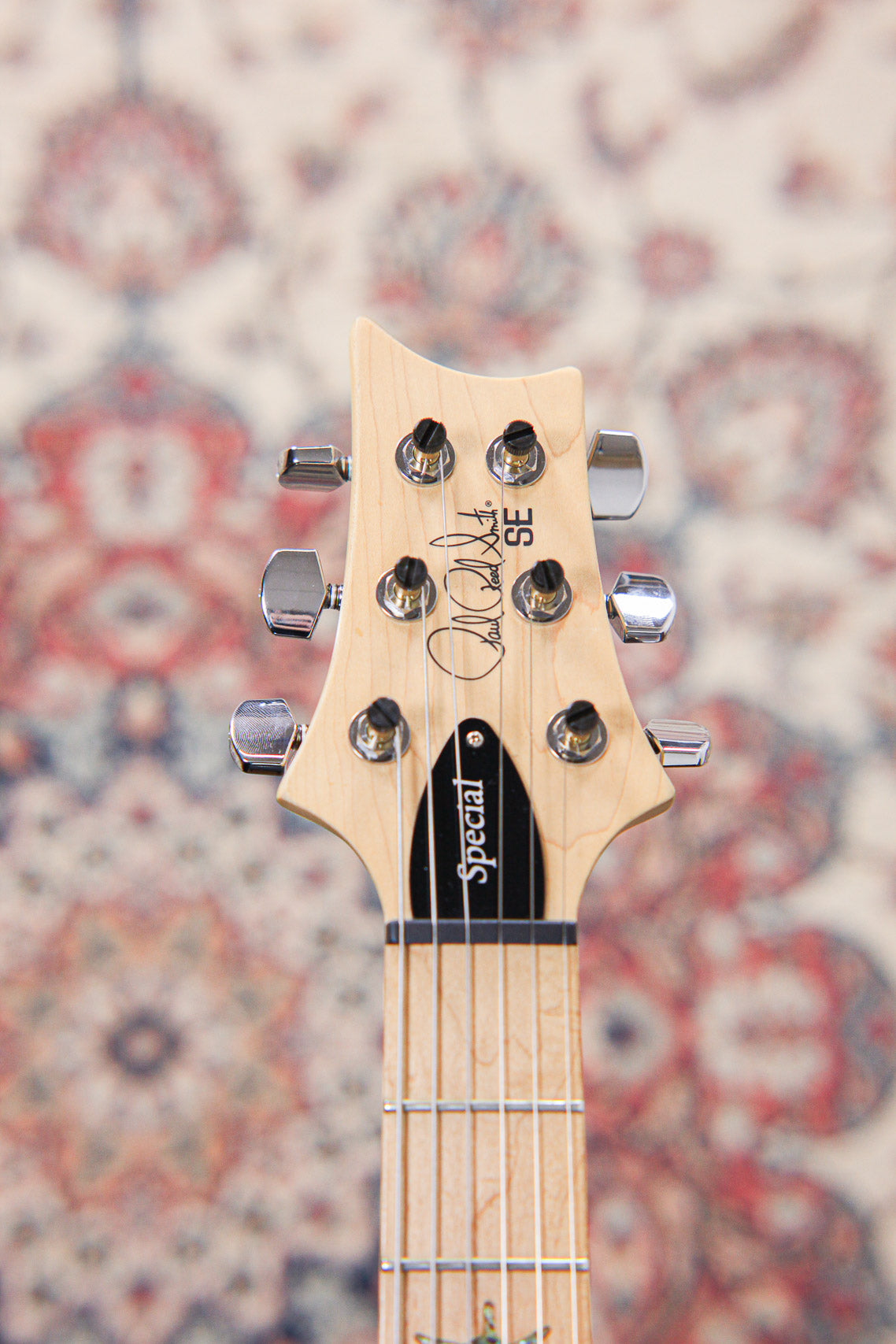 PRS SE Swamp Ash Special MN | Charcoal