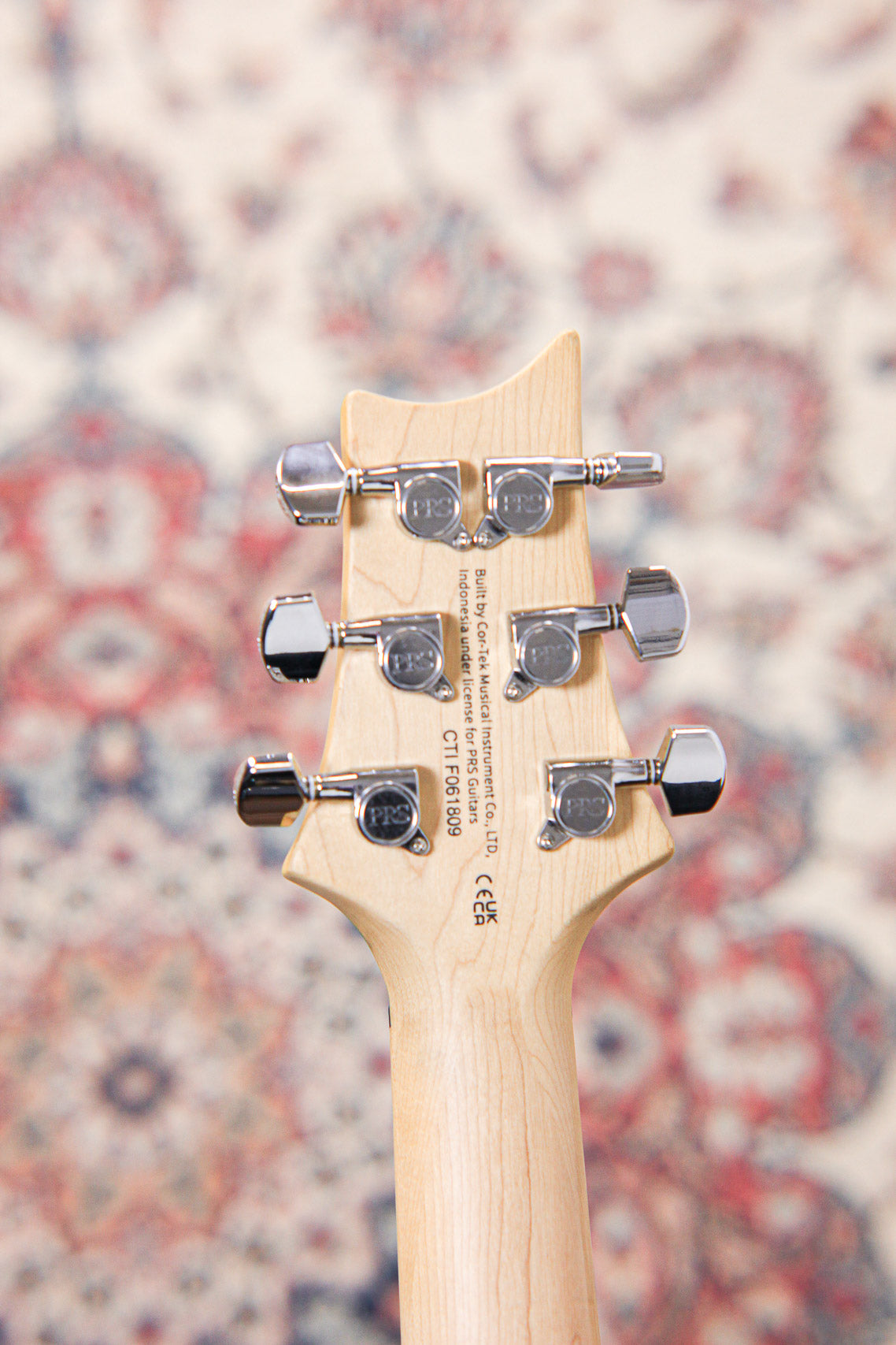 PRS SE Swamp Ash Special MN | Charcoal