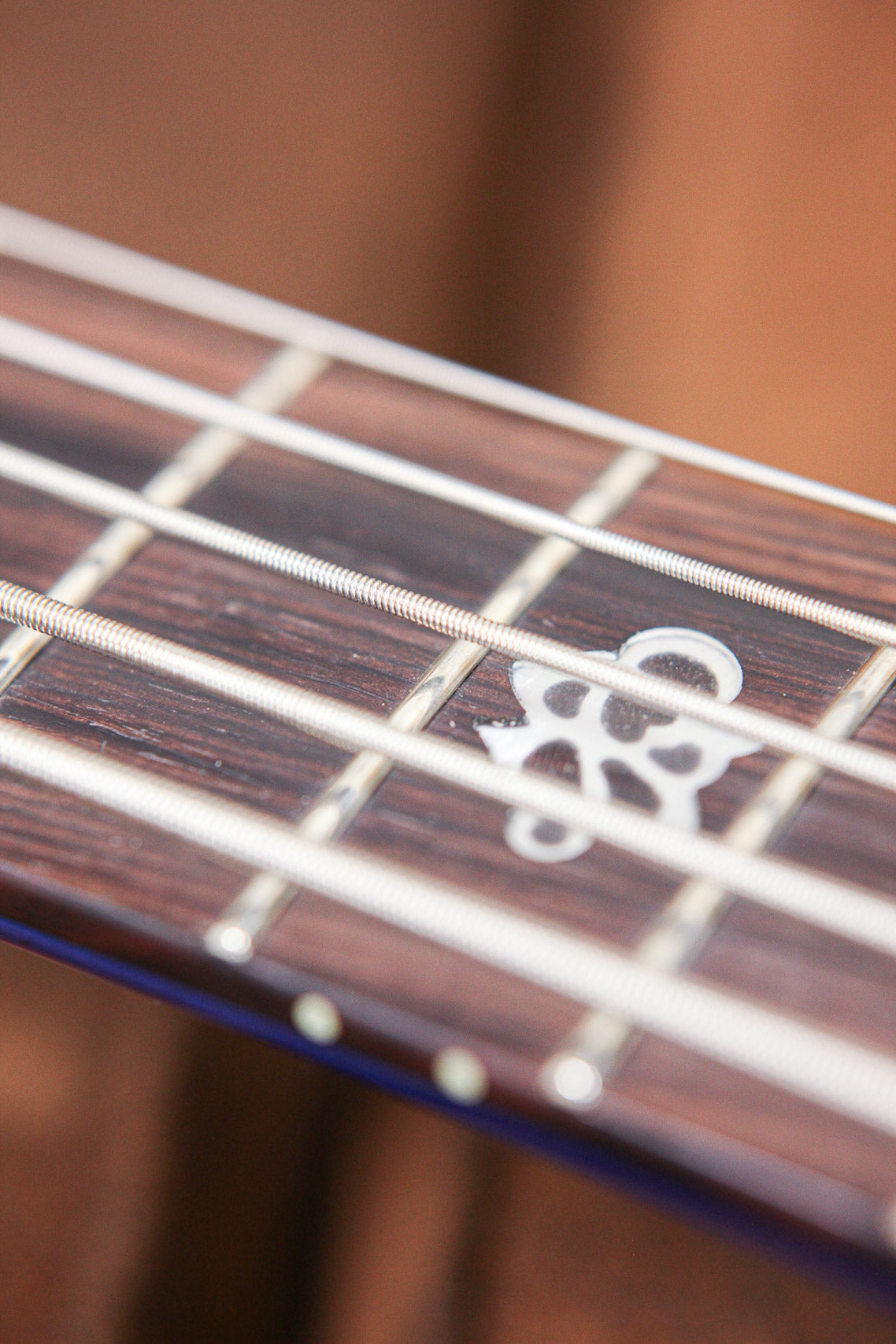 Spector NS Ethos 5 Interstellar | High Gloss