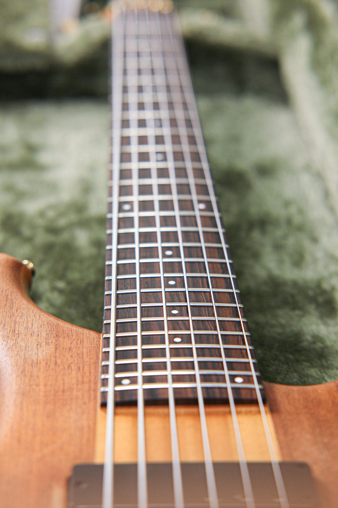 Tune Somnus ZI-II-6 | Natural