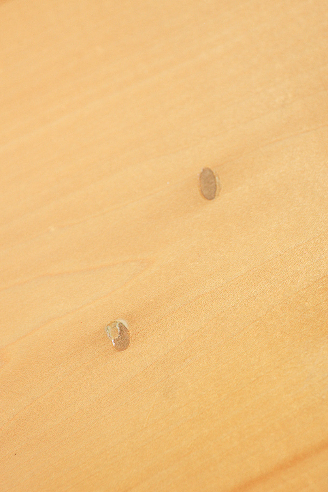 Ibanez 2451 NT 1976 | Natural