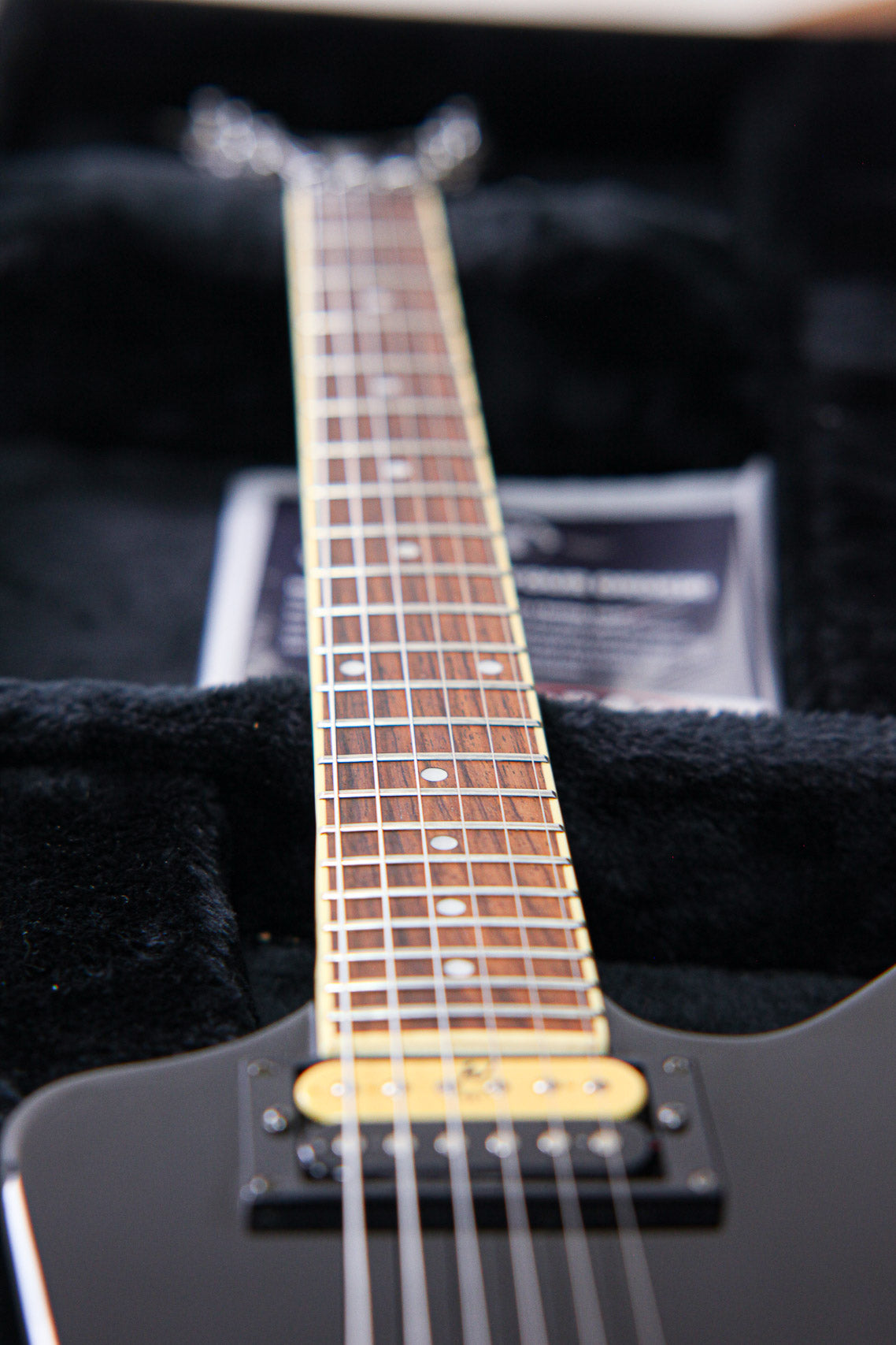 Washburn Dimebag Darrell 333 Blackjack | Black – GitaarBarbaar B.V.