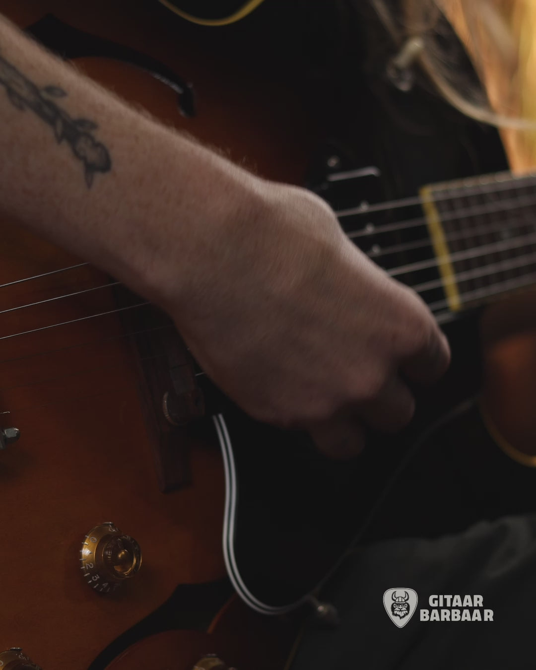 Load video: King Snake Curtis | Tobacco Sunburst