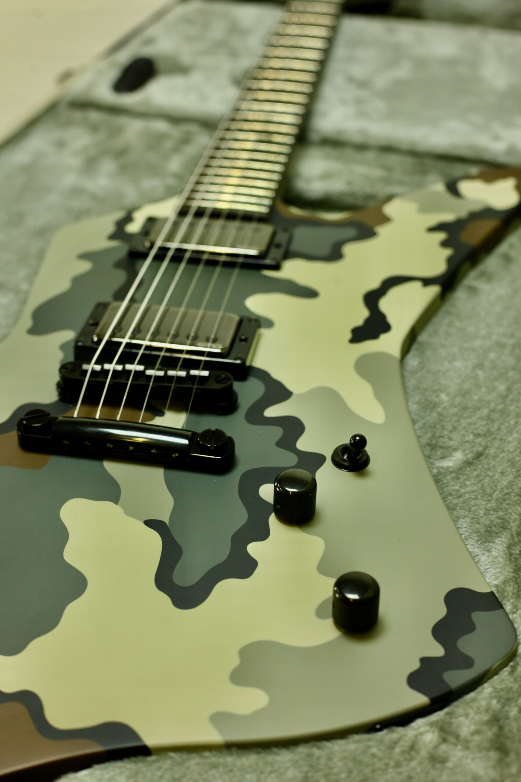 ESP LTD James Hetfield Signature Series | Snakebyte Camo
