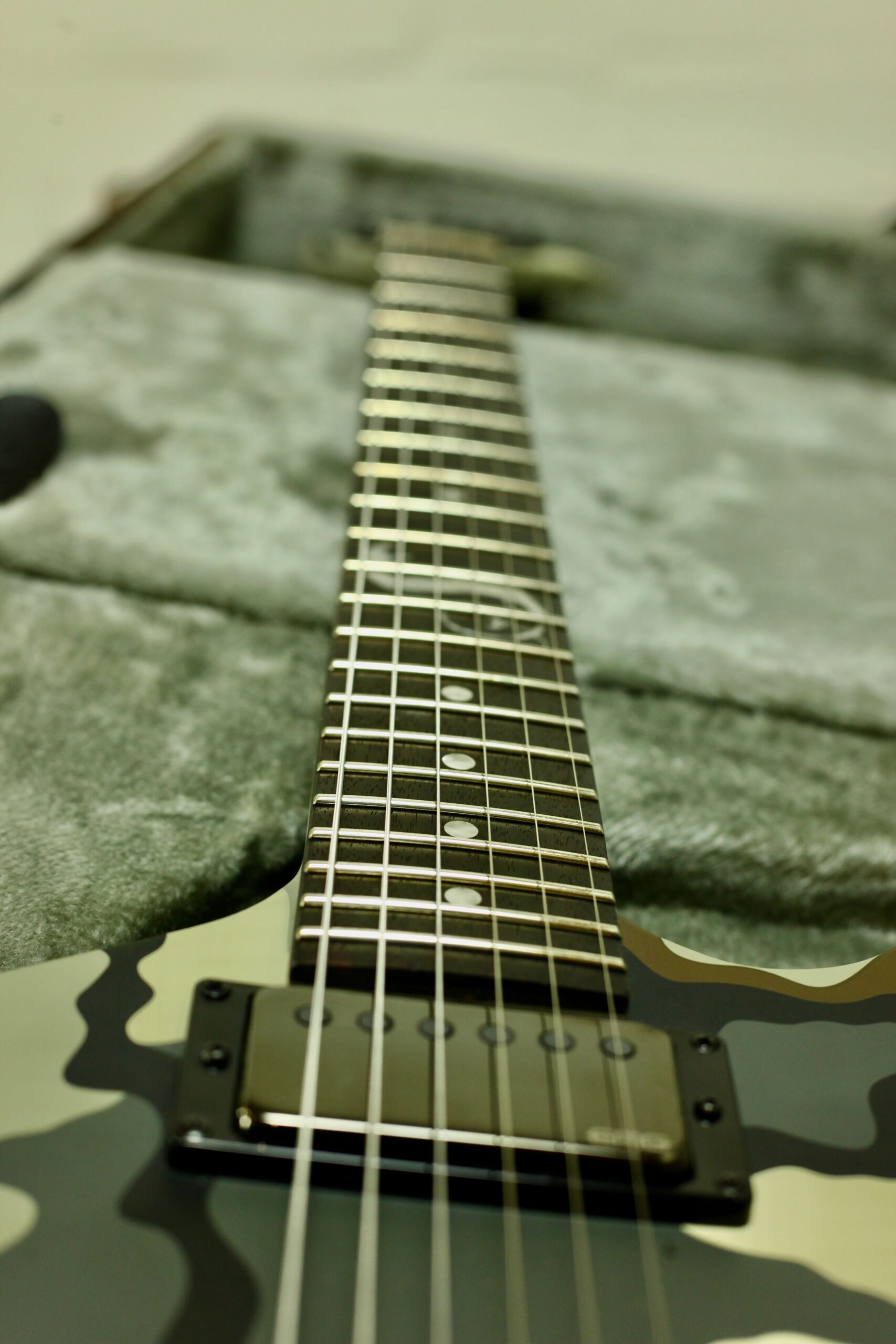 ESP LTD James Hetfield Signature Series | Snakebyte Camo
