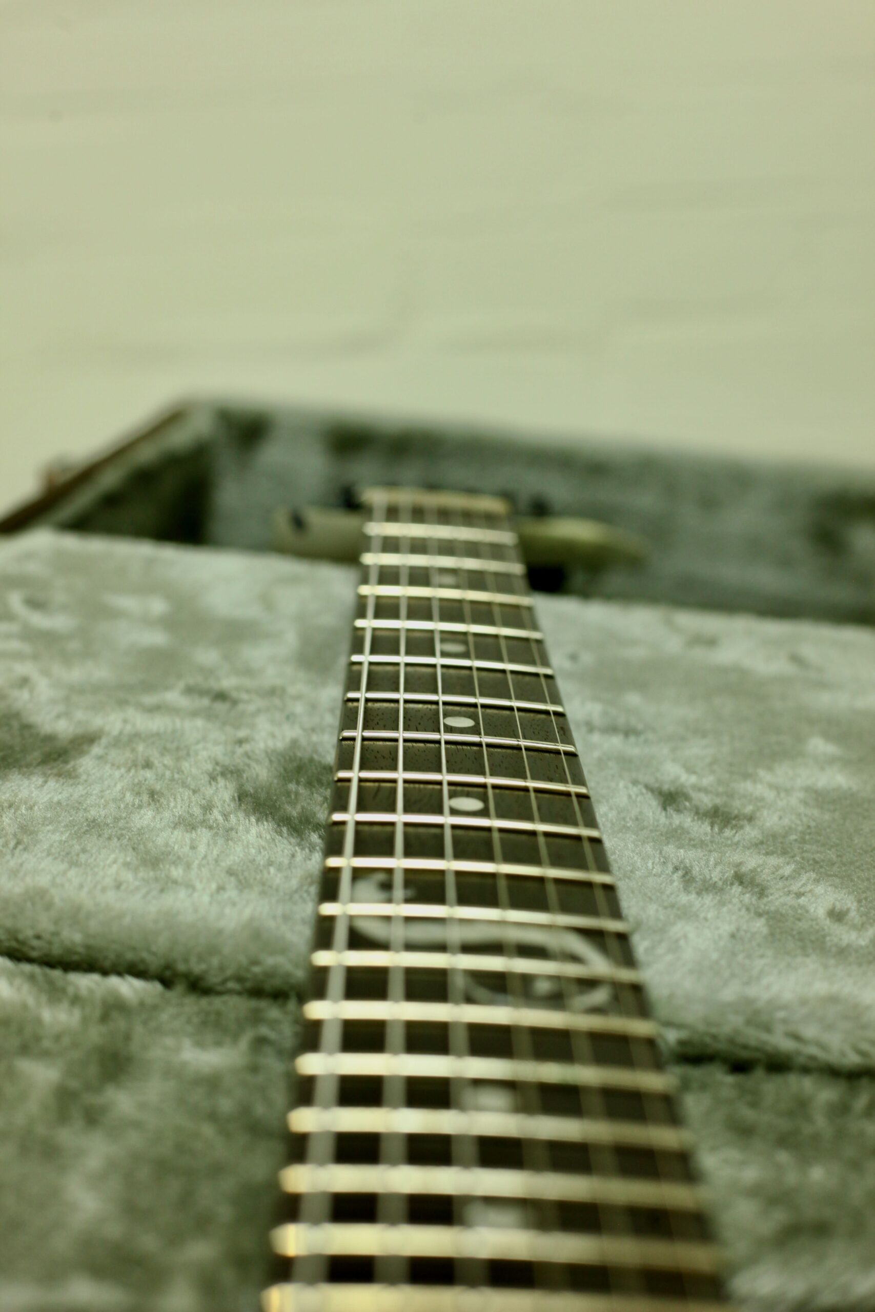 ESP LTD James Hetfield Signature Series | Snakebyte Camo