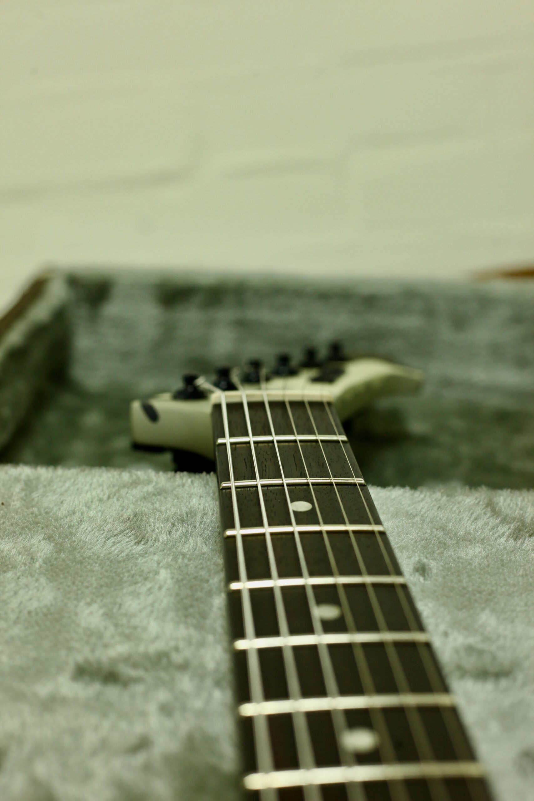 ESP LTD James Hetfield Signature Series | Snakebyte Camo