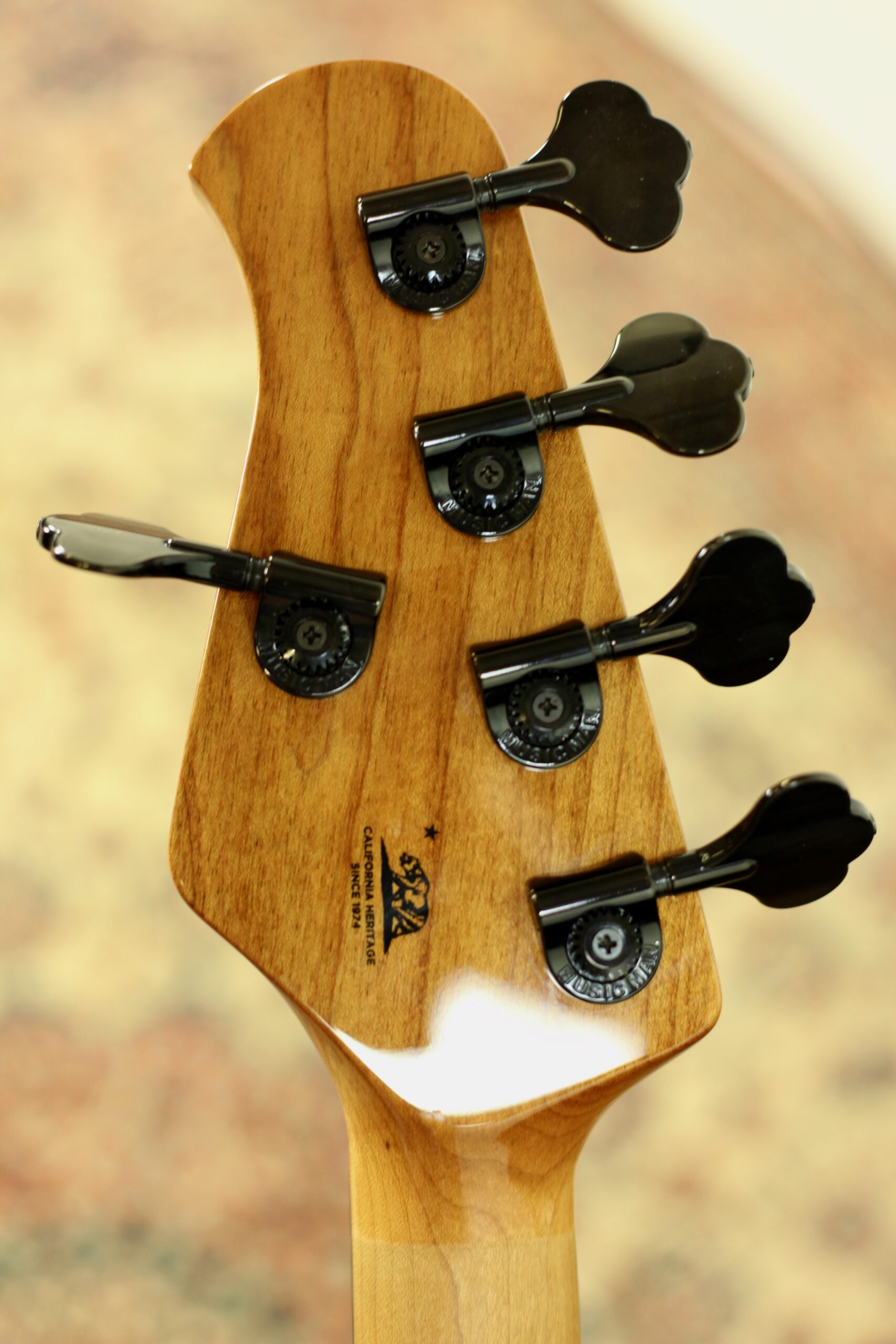 Music Man Stingray 5 | Black Rock