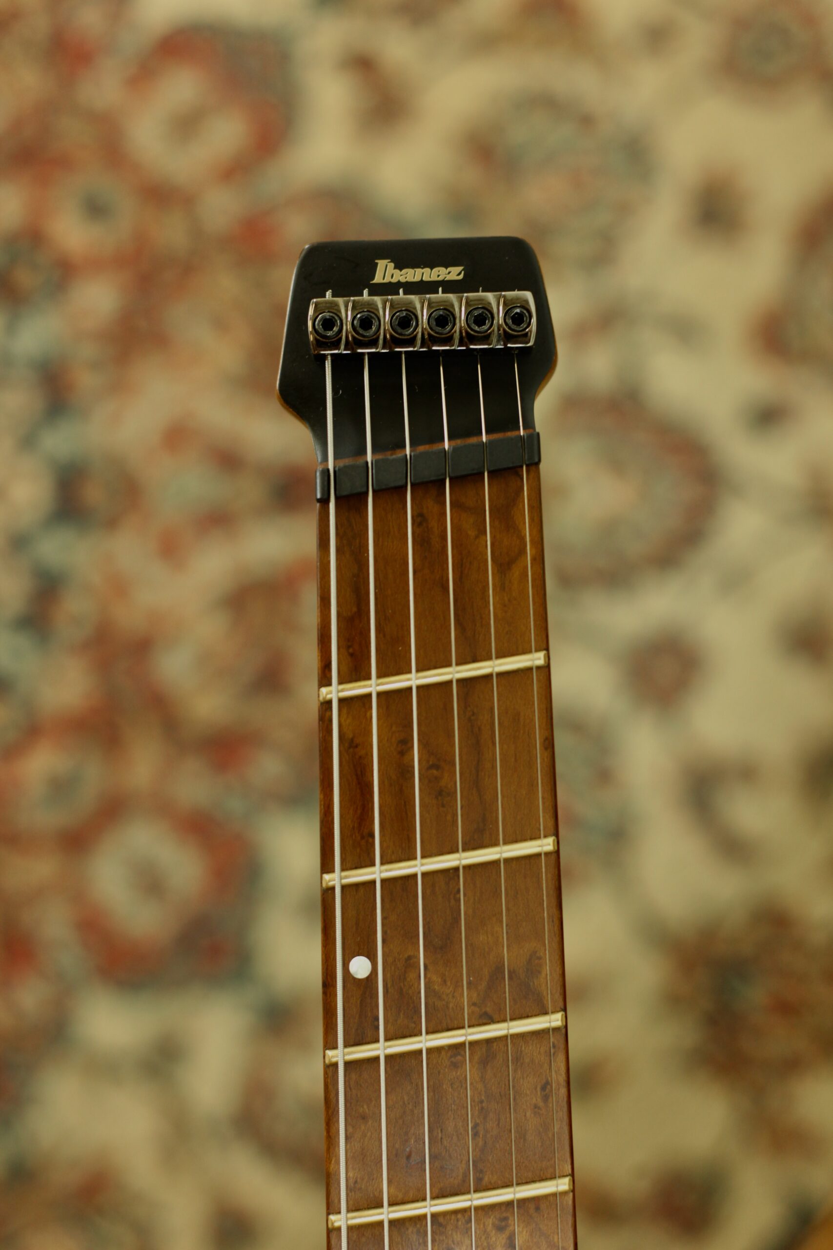 Ibanez QX52 Pestilence Patrick Mameli | Exitivm