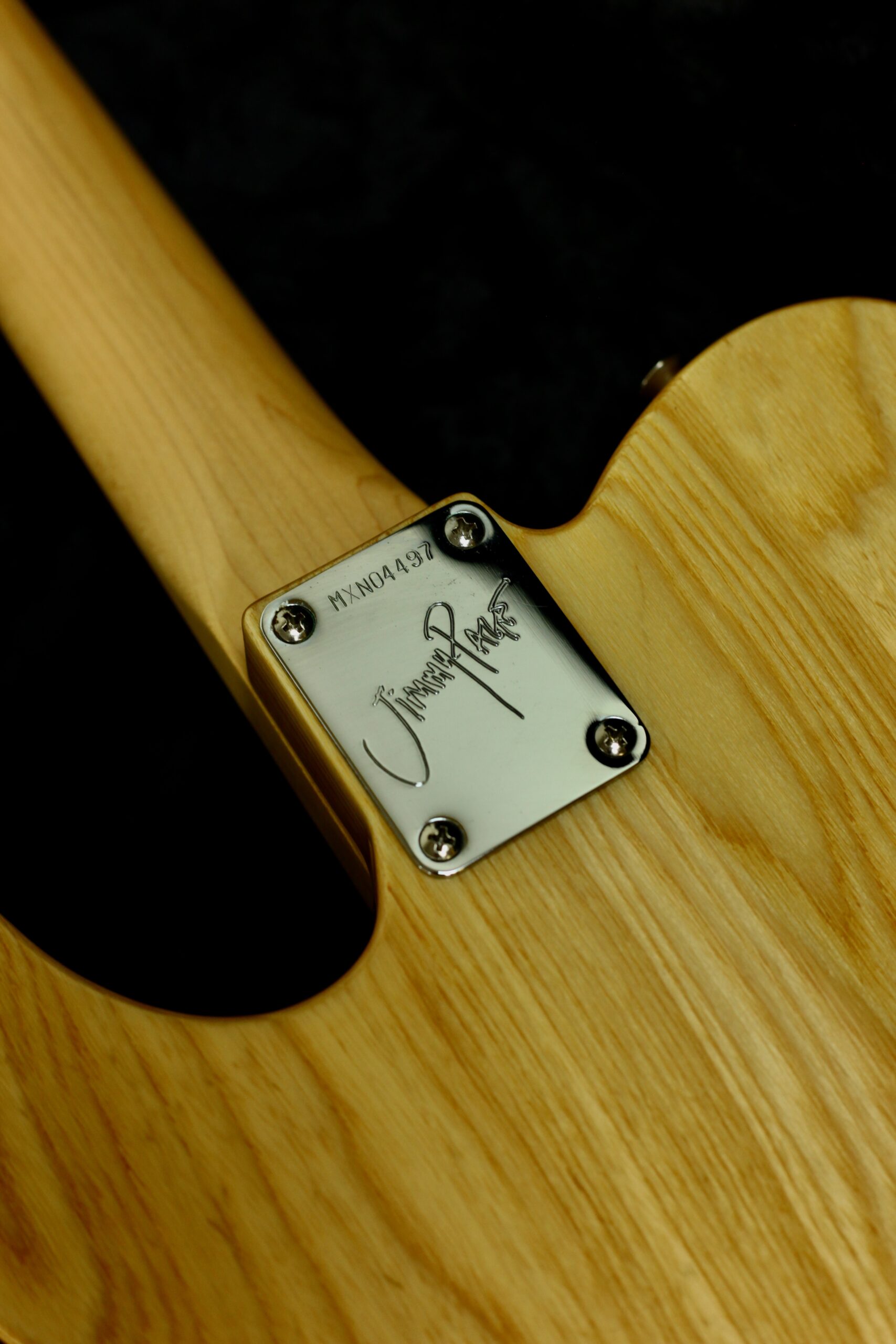 Fender  Fender Jimmy Page Telecaster RW | Dragon Graphic