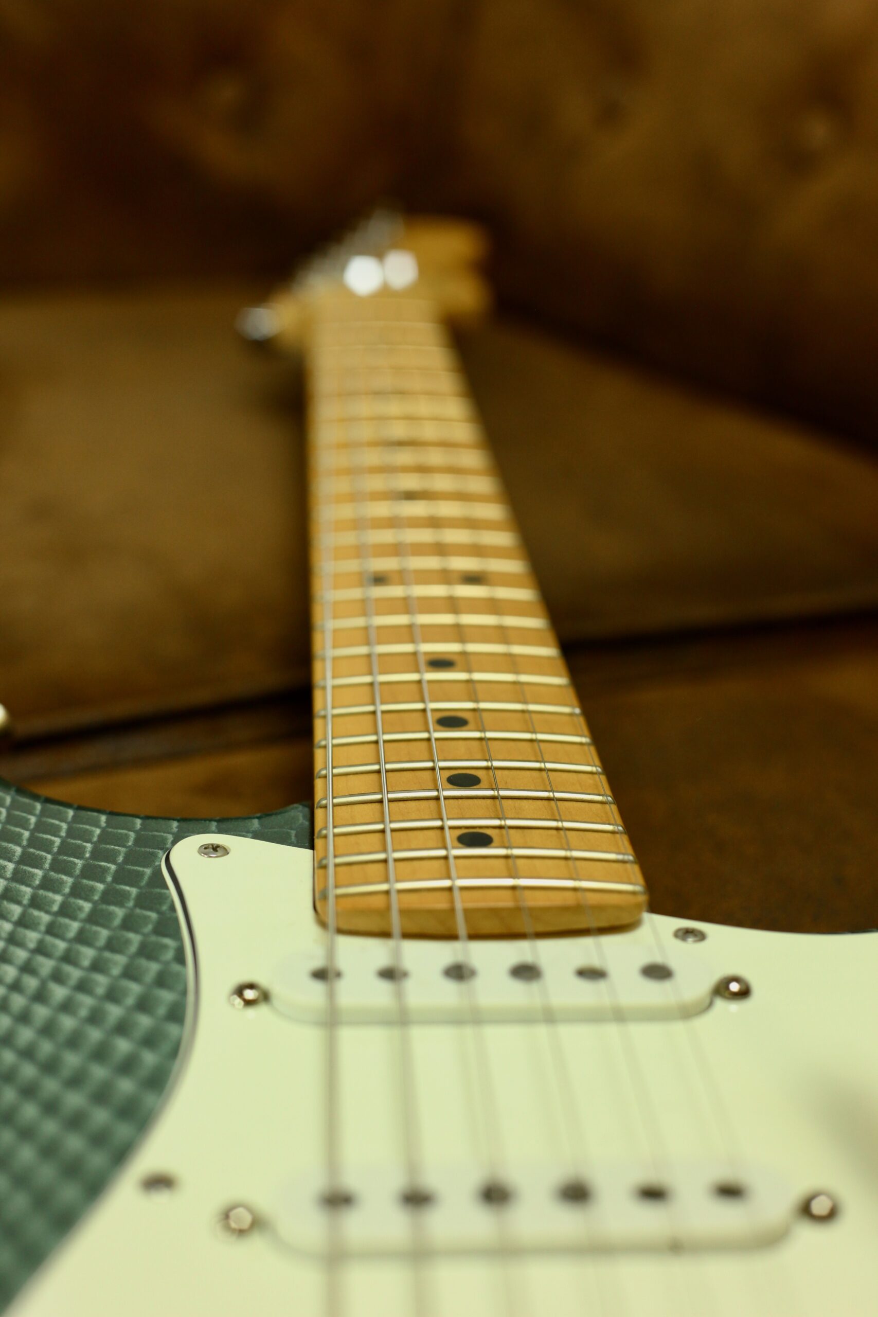 Fender USA Standard Stratocaster 2002 | Snake Skin