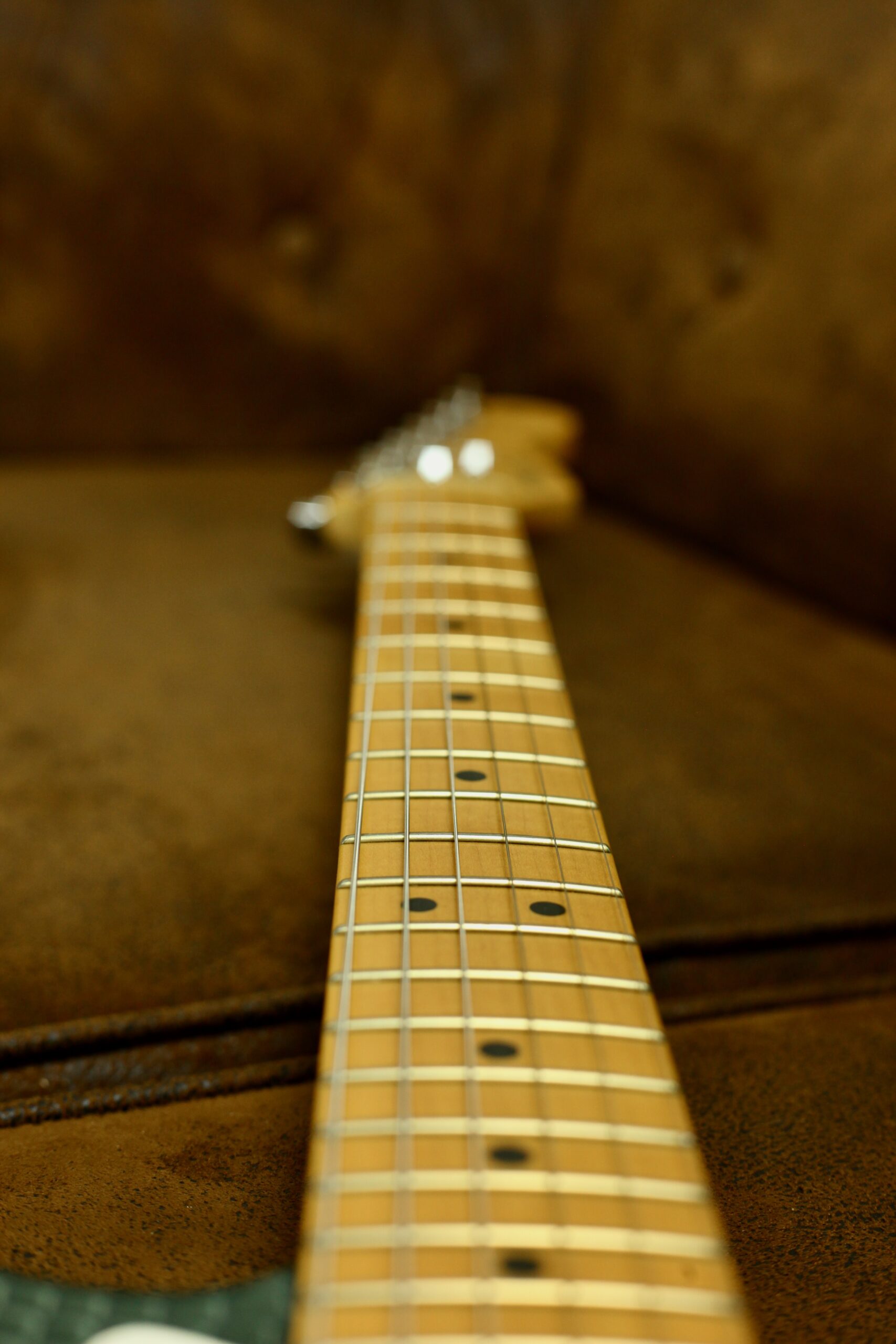 Fender USA Standard Stratocaster 2002 | Snake Skin