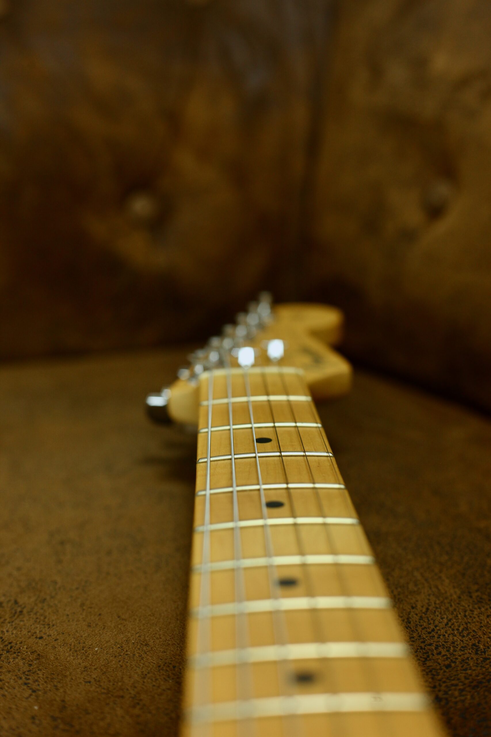 Fender USA Standard Stratocaster 2002 | Snake Skin