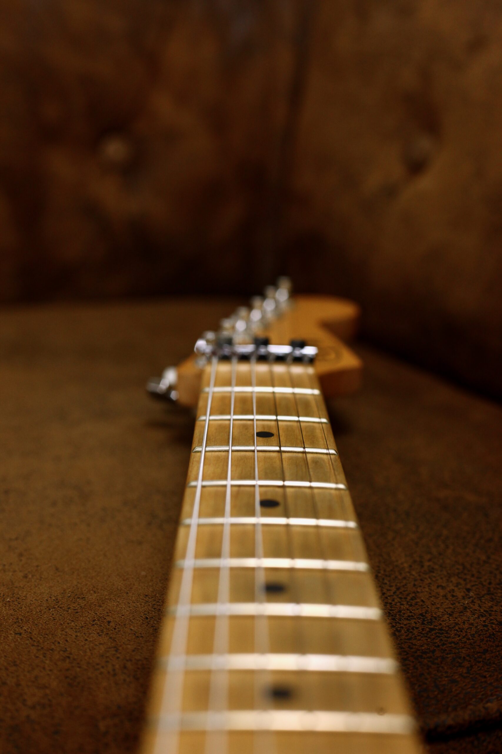 EVH Stripe Series | Red Black