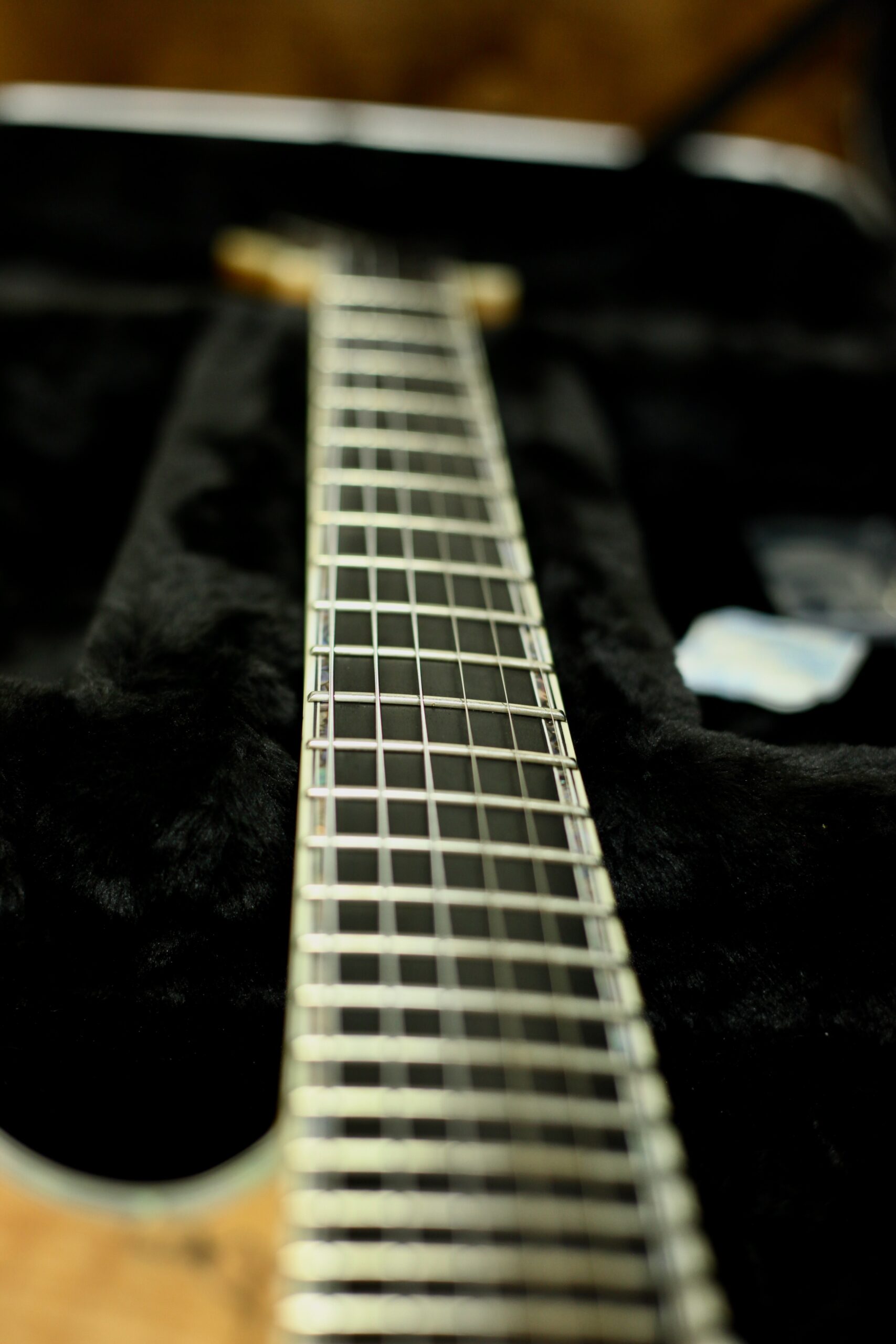 BC Rich Shredzilla Prophecy Exotic | Transparent