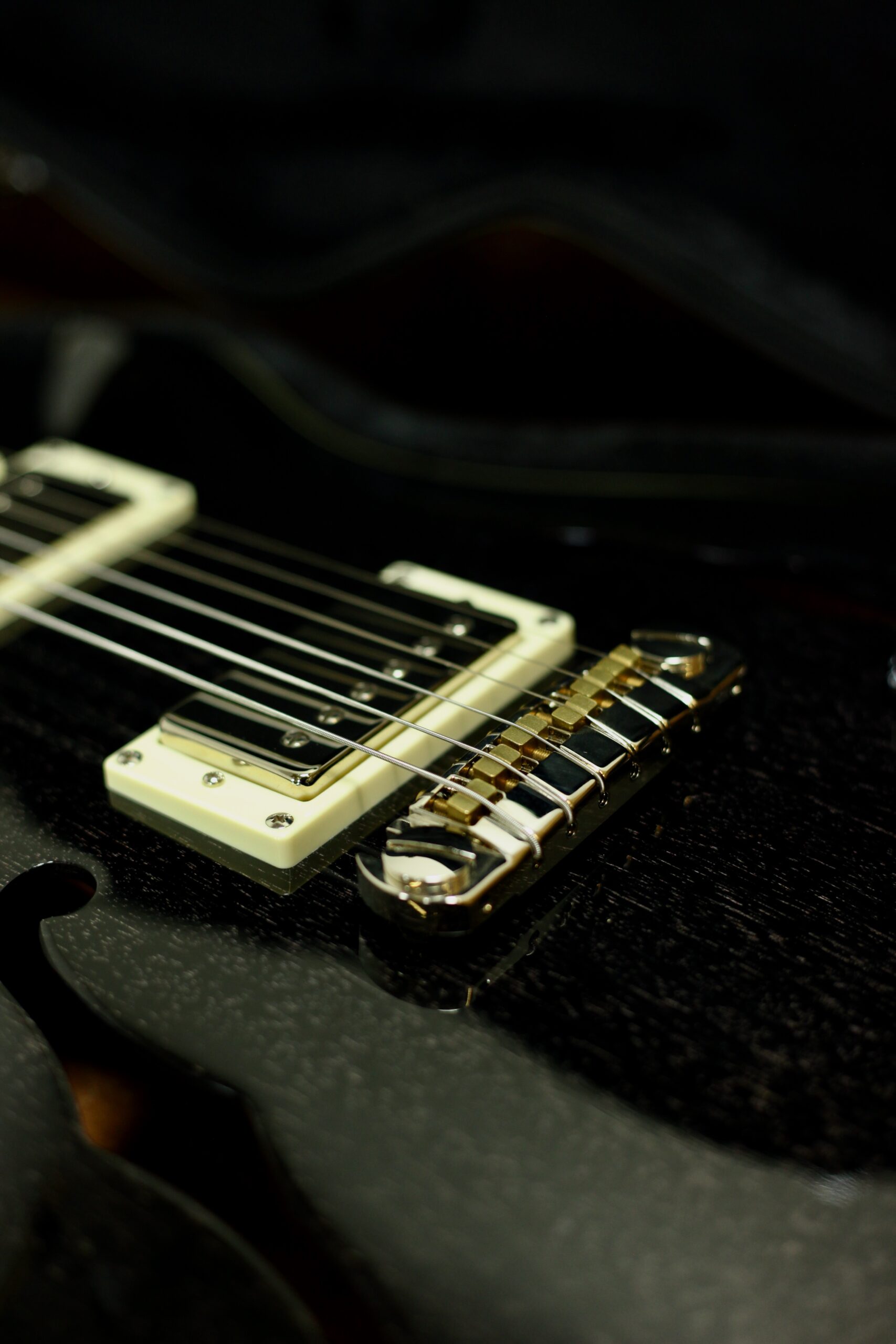 PRS SE Hollowbody Standard | Doghair Smokeburst