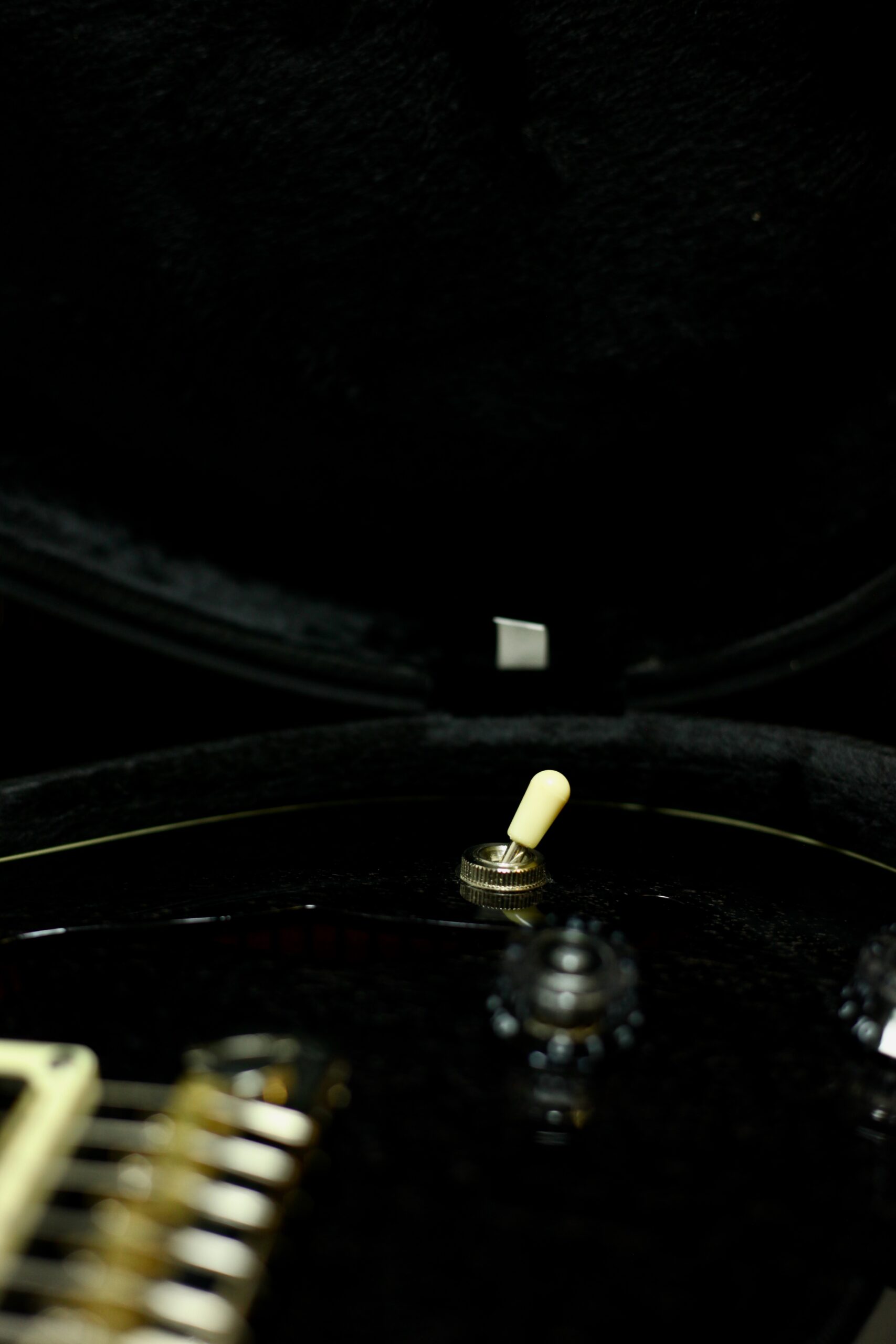 PRS SE Hollowbody Standard | Doghair Smokeburst