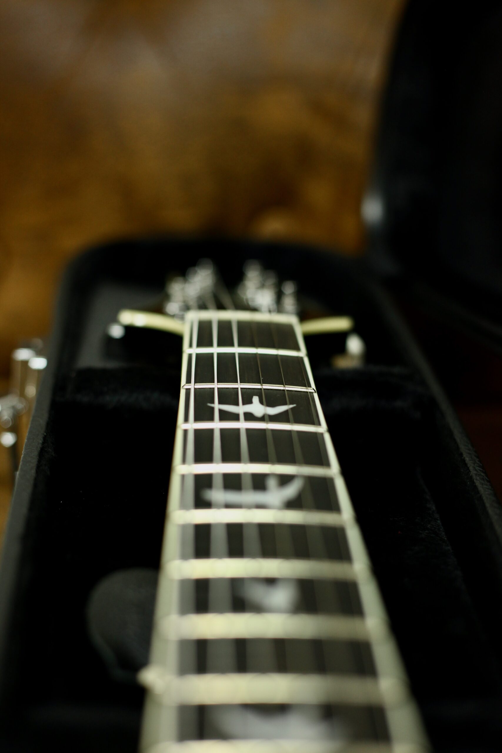 PRS SE Hollowbody Standard | Doghair Smokeburst