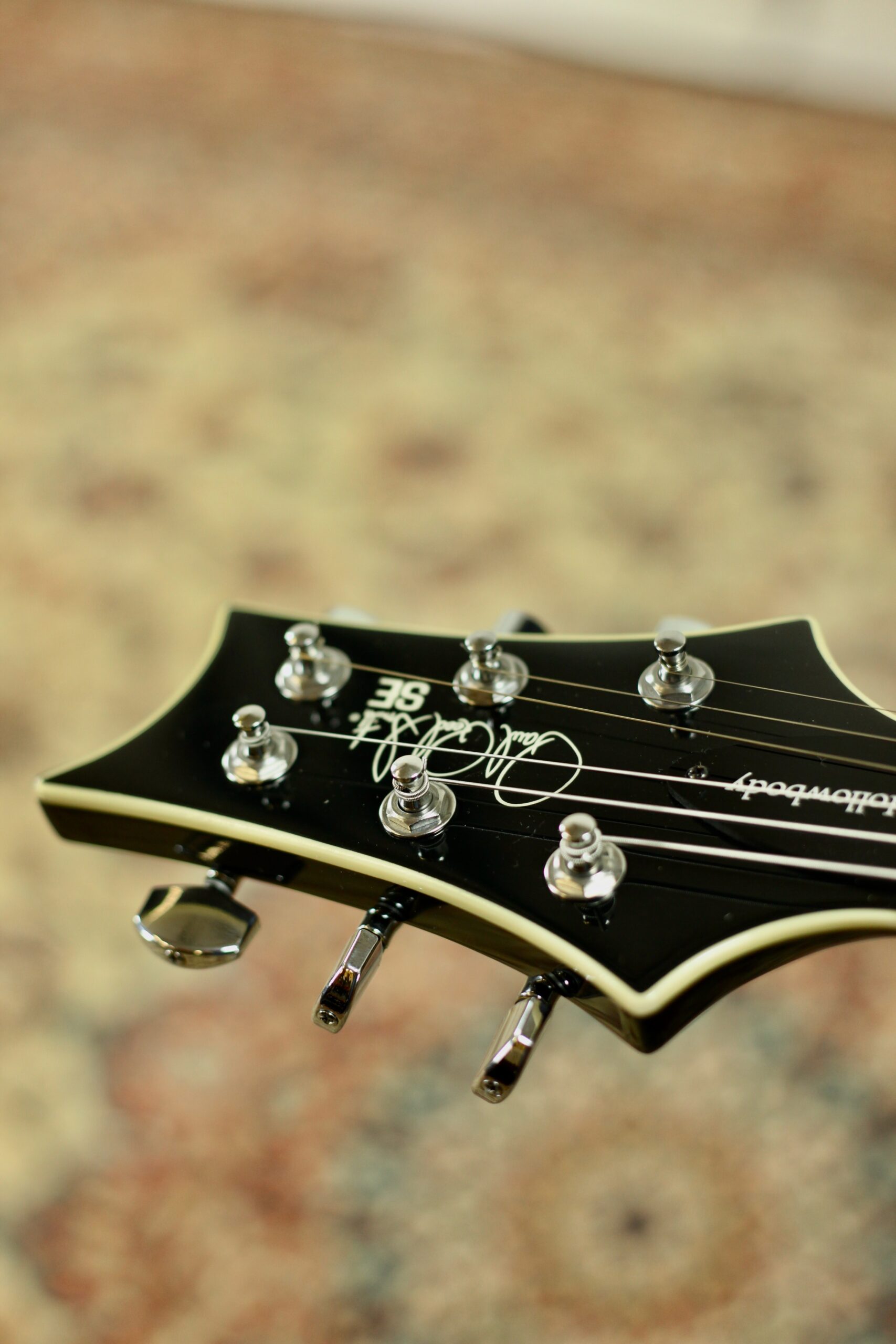 PRS SE Hollowbody Standard | Doghair Smokeburst