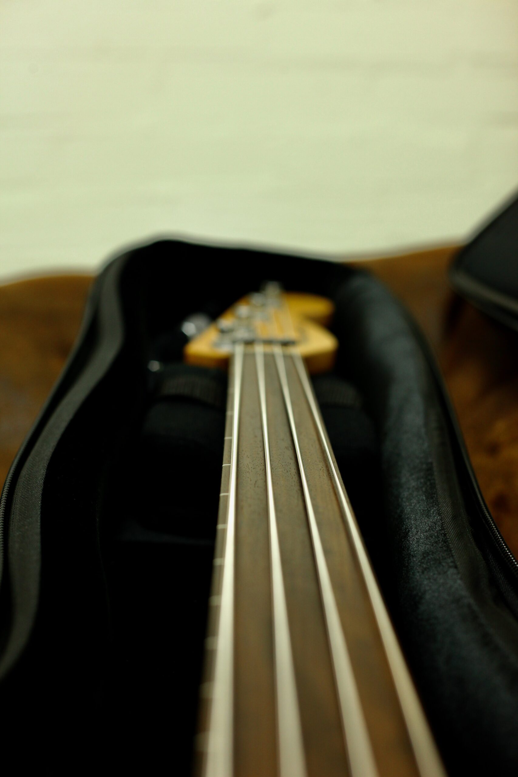 Vincent Metropol 4 Fretless 2021 | White